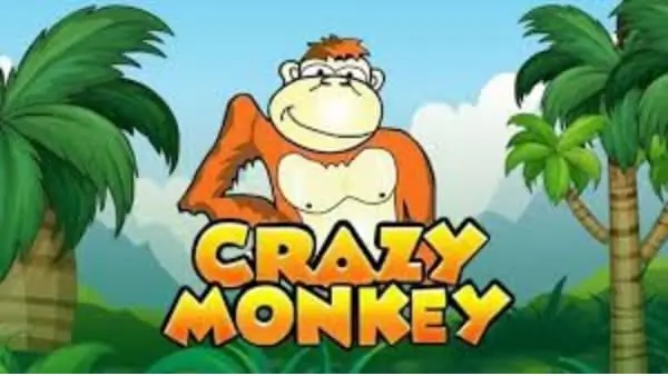 Crazy Monkey Tematica
